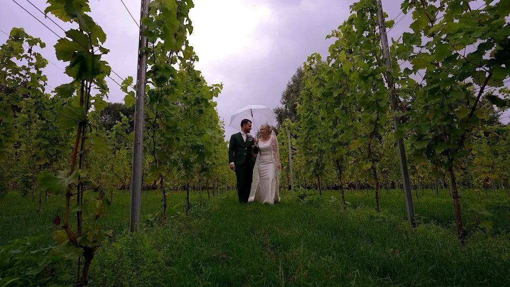 Trouwfilm Ewijk - Bruidspaar loopt door wijngaard Slot Doddendae